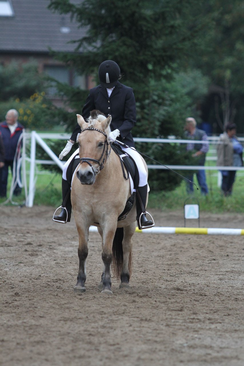Bild 394 - WBO-Turnier am 18.9.11